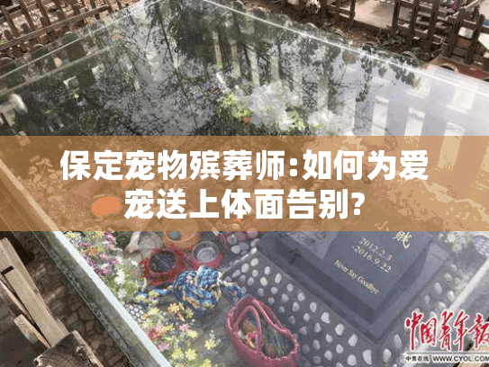 保定宠物殡葬师:如何为爱宠送上体面告别? 保定宠物殡葬师:如何为爱宠送上体面告别?