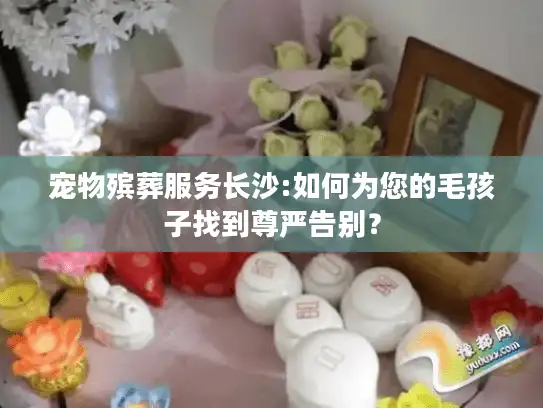 宠物殡葬服务长沙:如何为您的毛孩子找到尊严告别？