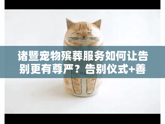 诸暨宠物殡葬服务如何让告别更有尊严？告别仪式+善后指南全解析