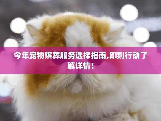 今年宠物殡葬服务选择指南,即刻行动了解详情！