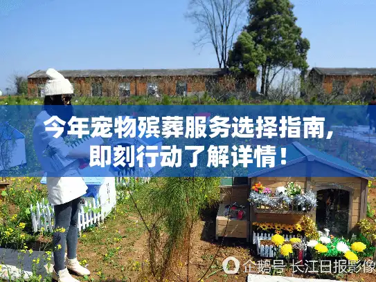 今年宠物殡葬服务选择指南,即刻行动了解详情！