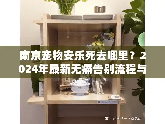 南京宠物安乐死去哪里？2024年最新无痛告别流程与价格深度揭秘