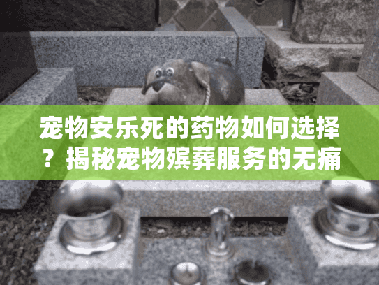 宠物安乐死的药物如何选择？揭秘宠物殡葬服务的无痛告别