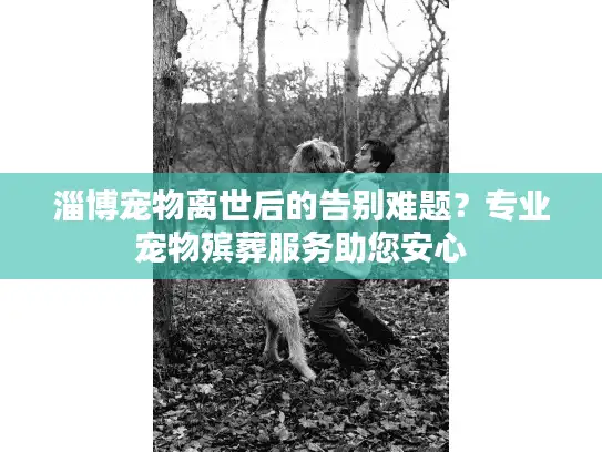 淄博宠物离世后的告别难题?专业宠物殡葬服务助您安心 淄博宠物离世后的告别难题?专业宠物殡葬服务助您安心