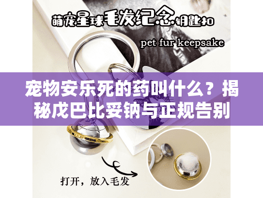 宠物安乐死的药叫什么？揭秘戊巴比妥钠与正规告别全流程
