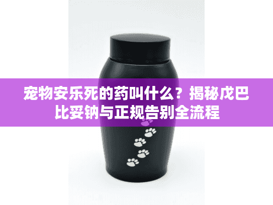 宠物安乐死的药叫什么？揭秘戊巴比妥钠与正规告别全流程