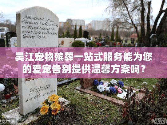 吴江宠物殡葬一站式服务能为您的爱宠告别提供温馨方案吗？
