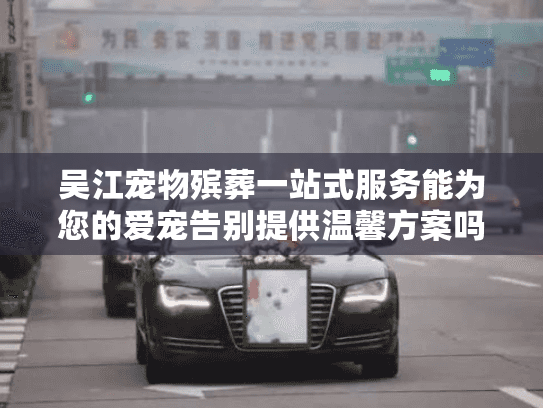 吴江宠物殡葬一站式服务能为您的爱宠告别提供温馨方案吗？