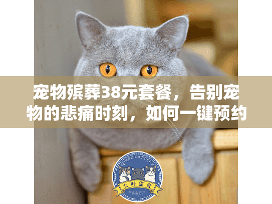 宠物殡葬38元套餐,告别宠物的悲痛时刻,如何一键预约经济服务? 宠物殡葬38元套餐,告别宠物的悲痛时刻,如何一键预约经济服务?