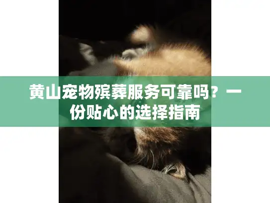 黄山宠物殡葬服务可靠吗？一份贴心的选择指南