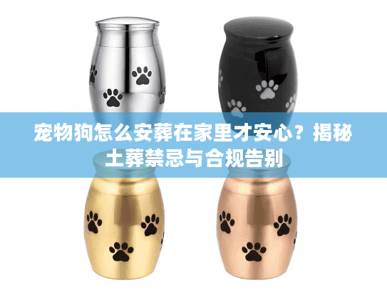 宠物狗怎么安葬在家里才安心？揭秘土葬禁忌与合规告别
