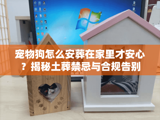 宠物狗怎么安葬在家里才安心？揭秘土葬禁忌与合规告别