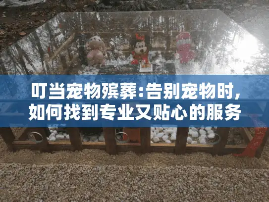 叮当宠物殡葬:告别宠物时,如何找到专业又贴心的服务?