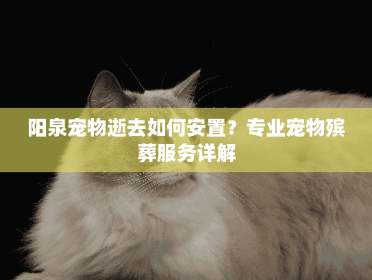 阳泉宠物逝去如何安置？专业宠物殡葬服务详解