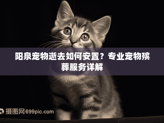 阳泉宠物逝去如何安置？专业宠物殡葬服务详解