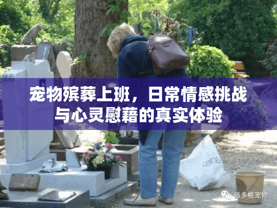 宠物殡葬上班，日常情感挑战与心灵慰藉的真实体验