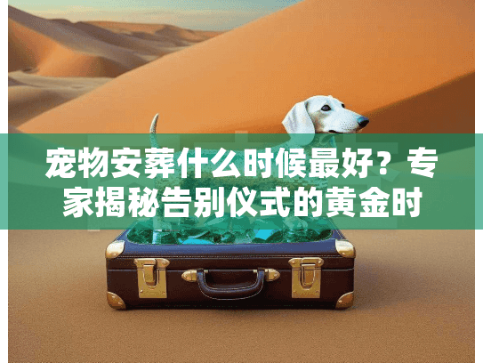 宠物安葬什么时候最好?专家揭秘告别仪式的黄金时刻与流程 宠物安葬什么时候最好?专家揭秘告别仪式的黄金时刻与流程