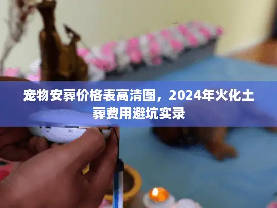 宠物安葬价格表高清图，2024年火化土葬费用避坑实录