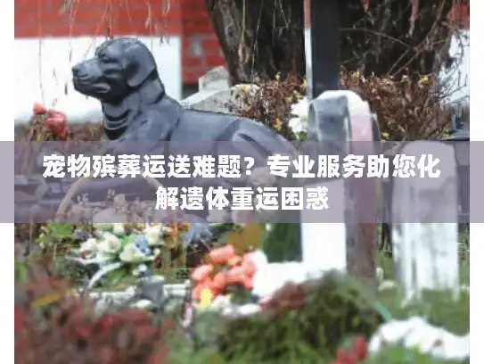 宠物殡葬运送难题？专业服务助您化解遗体重运困惑