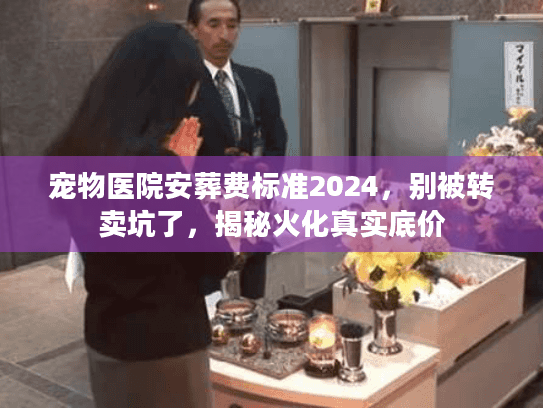 宠物医院安葬费标准2024，别被转卖坑了，揭秘火化真实底价