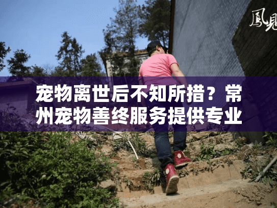 宠物离世后不知所措?常州宠物善终服务提供专业告别 宠物离世后不知所措?常州宠物善终服务提供专业告别