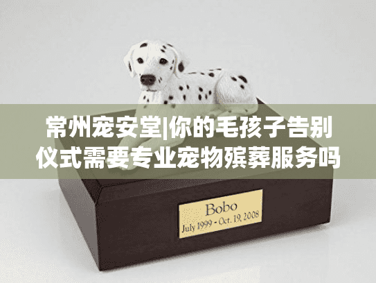 常州宠安堂|你的毛孩子告别仪式需要专业宠物殡葬服务吗?