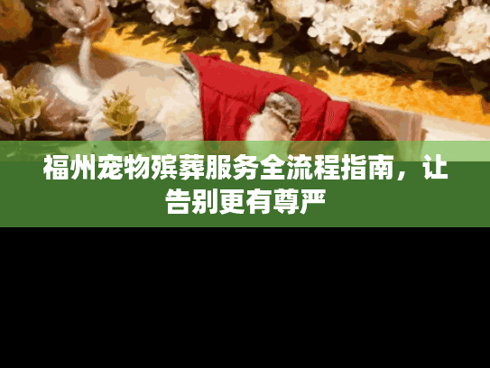 福州宠物殡葬服务全流程指南，让告别更有尊严