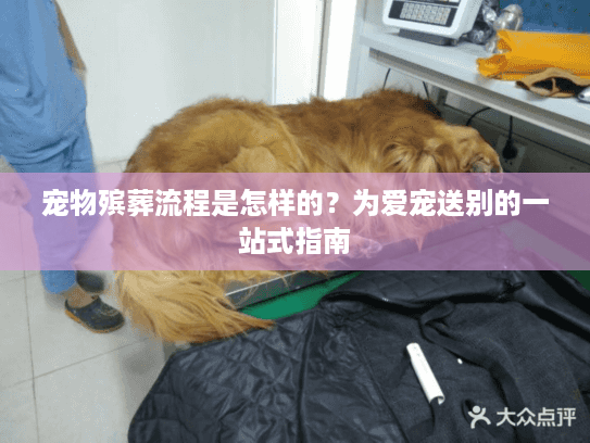 宠物殡葬流程是怎样的？为爱宠送别的一站式指南