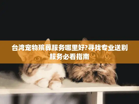台湾宠物殡葬服务哪里好?寻找专业送别服务必看指南