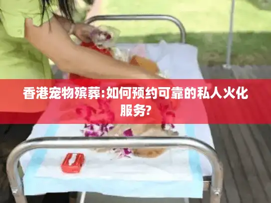 香港宠物殡葬:如何预约可靠的私人火化服务?