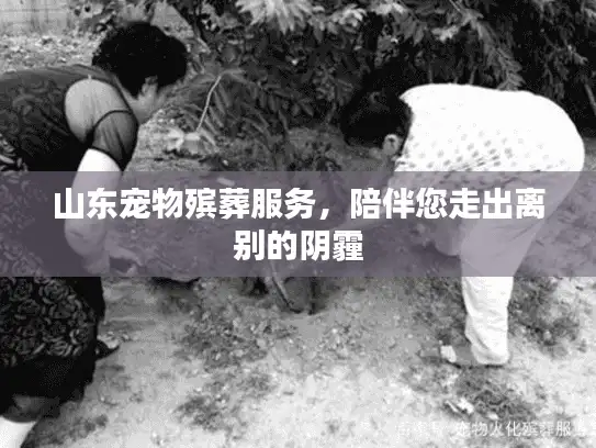 山东宠物殡葬服务,陪伴您走出离别的阴霾 山东宠物殡葬服务,陪伴您走出离别的阴霾