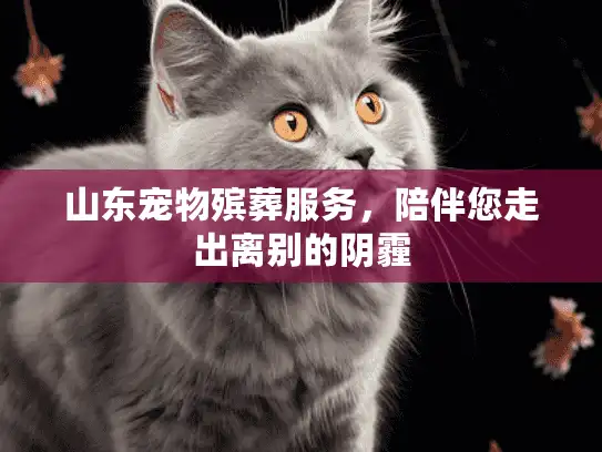 山东宠物殡葬服务,陪伴您走出离别的阴霾 山东宠物殡葬服务,陪伴您走出离别的阴霾