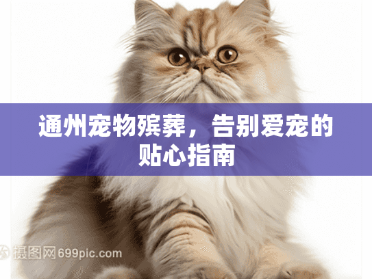 通州宠物殡葬，告别爱宠的贴心指南
