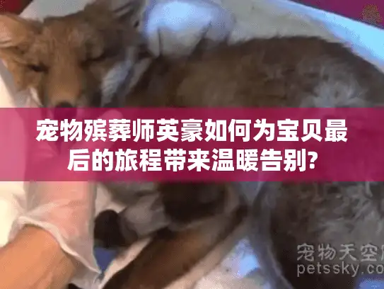 宠物殡葬师英豪如何为宝贝最后的旅程带来温暖告别? 宠物殡葬师英豪如何为宝贝最后的旅程带来温暖告别?