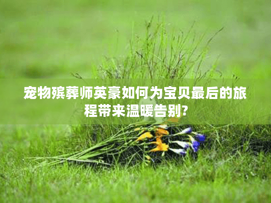宠物殡葬师英豪如何为宝贝最后的旅程带来温暖告别? 宠物殡葬师英豪如何为宝贝最后的旅程带来温暖告别?