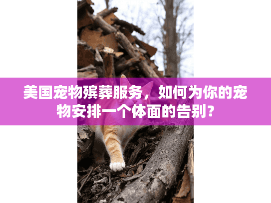 美国宠物殡葬服务，如何为你的宠物安排一个体面的告别？