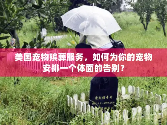 美国宠物殡葬服务，如何为你的宠物安排一个体面的告别？