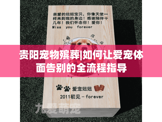 贵阳宠物殡葬|如何让爱宠体面告别的全流程指导