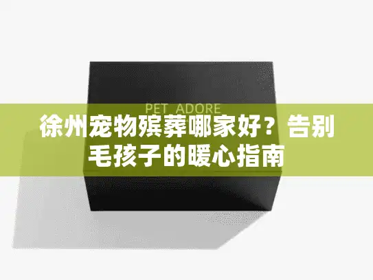 徐州宠物殡葬哪家好？告别毛孩子的暖心指南