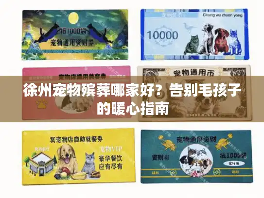 徐州宠物殡葬哪家好？告别毛孩子的暖心指南