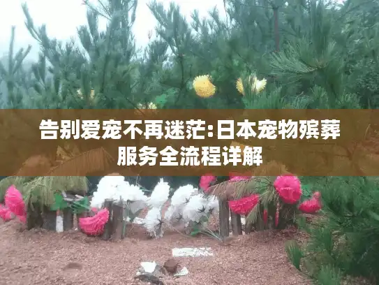 告别爱宠不再迷茫:日本宠物殡葬服务全流程详解