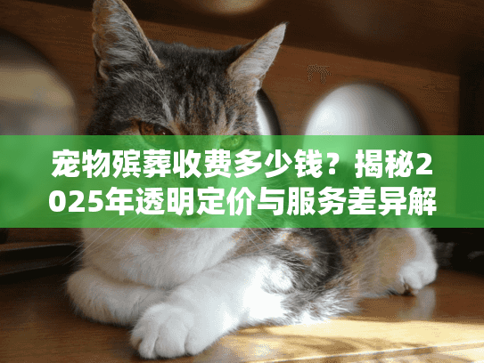 宠物殡葬收费多少钱？揭秘2025年透明定价与服务差异解析