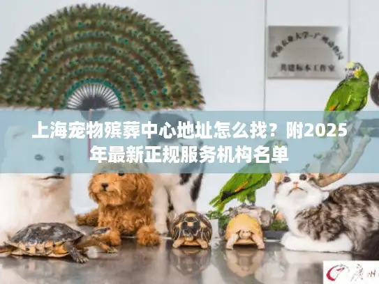 上海宠物殡葬中心地址怎么找？附2025年最新正规服务机构名单