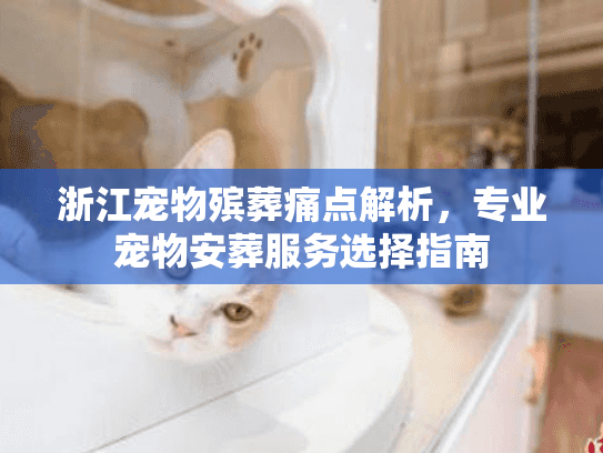 浙江宠物殡葬痛点解析，专业宠物安葬服务选择指南