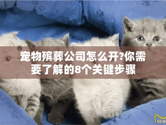 宠物殡葬公司怎么开?你需要了解的8个关键步骤