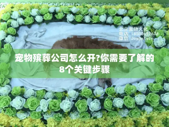 宠物殡葬公司怎么开?你需要了解的8个关键步骤