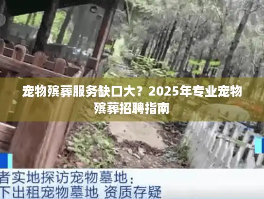 宠物殡葬服务缺口大？2025年专业宠物殡葬招聘指南
