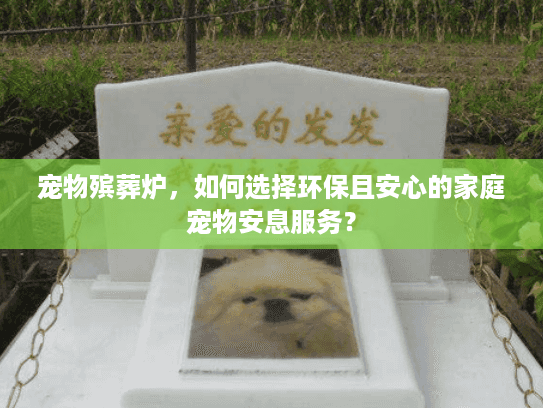 宠物殡葬炉，如何选择环保且安心的家庭宠物安息服务？