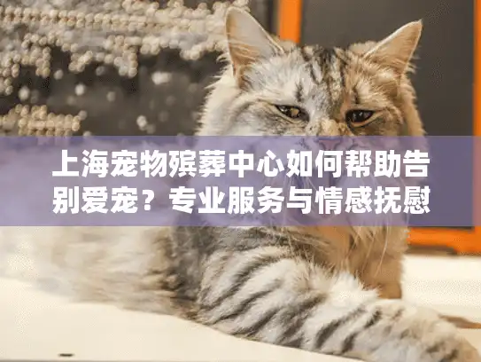 上海宠物殡葬中心如何帮助告别爱宠?专业服务与情感抚慰指南 上海宠物殡葬中心如何帮助告别爱宠?专业服务与情感抚慰指南