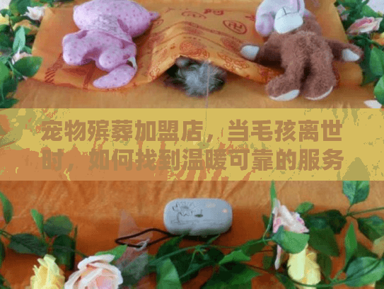 宠物殡葬加盟店,当毛孩离世时,如何找到温暖可靠的服务? 宠物殡葬加盟店,当毛孩离世时,如何找到温暖可靠的服务?